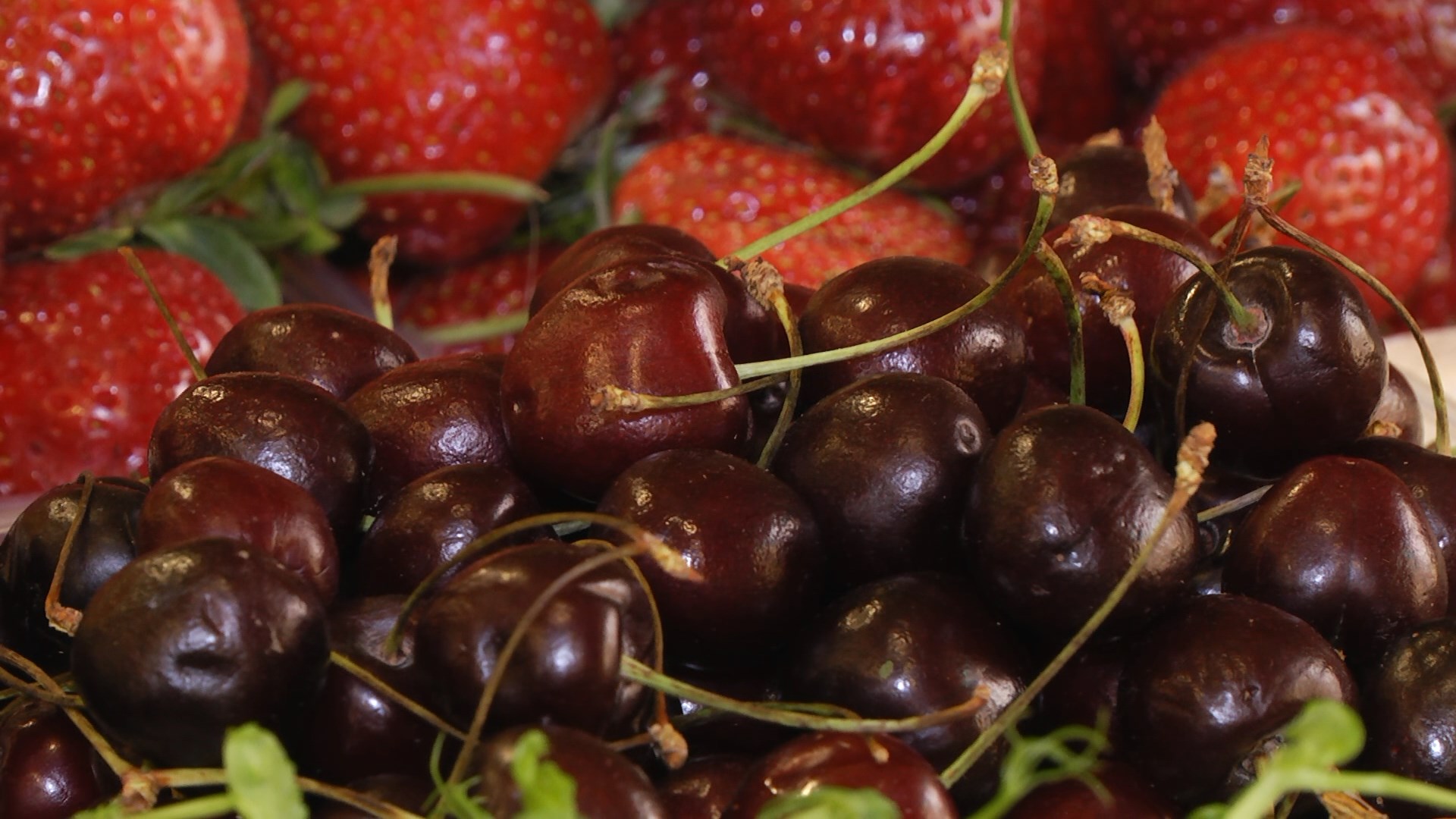 Свыше 91 тысячи тонн плодов и ягод собрали волгоградские аграрии